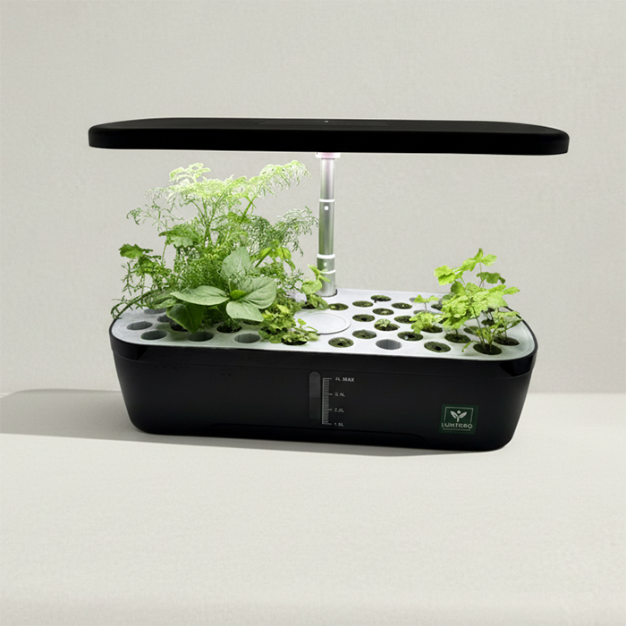 Kitchin Harvest + 15 kruidenzaden