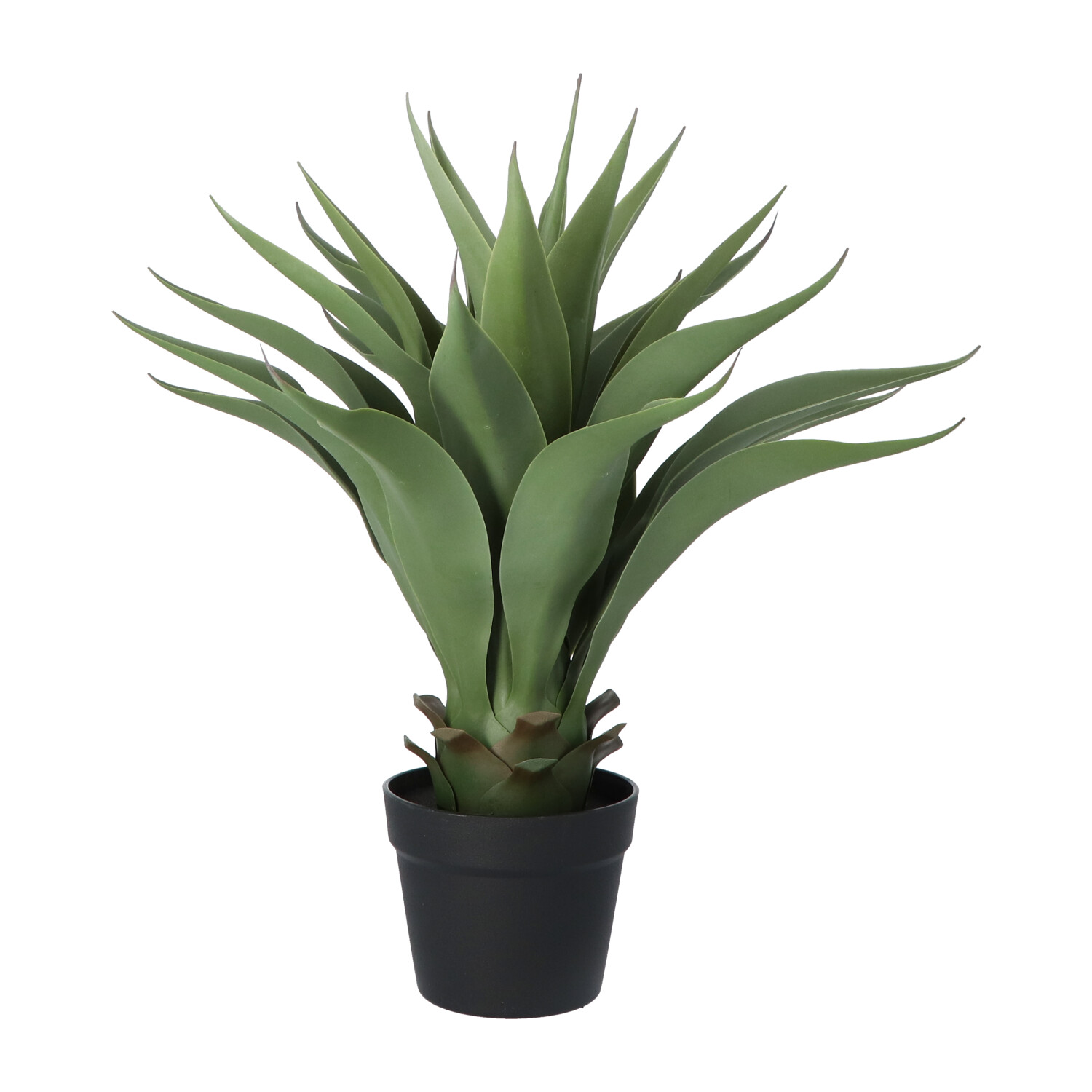 Een cartoon tekening van een potplant met een groene plant erin